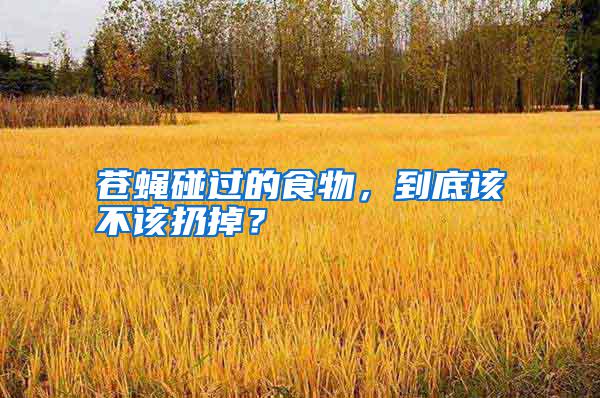 蒼蠅碰過的食物，到底該不該扔掉？