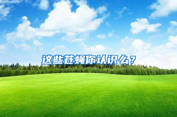 這些蒼蠅你認(rèn)識(shí)么？