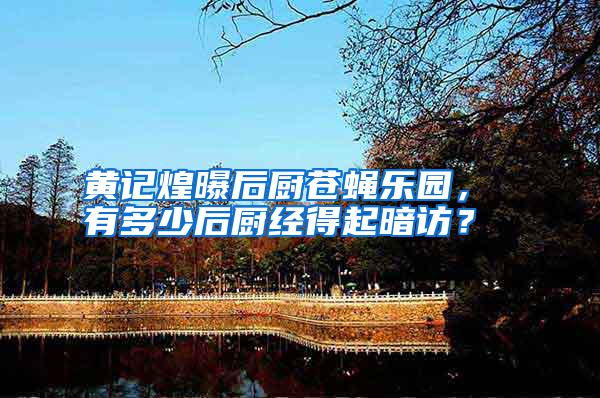 黃記煌曝后廚蒼蠅樂園， 有多少后廚經(jīng)得起暗訪？