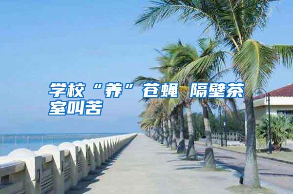 學?！梆B”蒼蠅 隔壁茶室叫苦