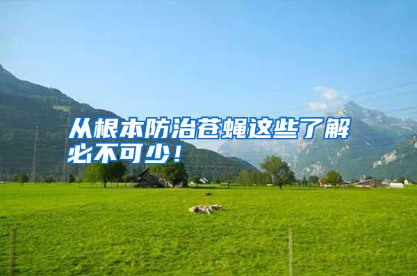 從根本防治蒼蠅這些了解必不可少！