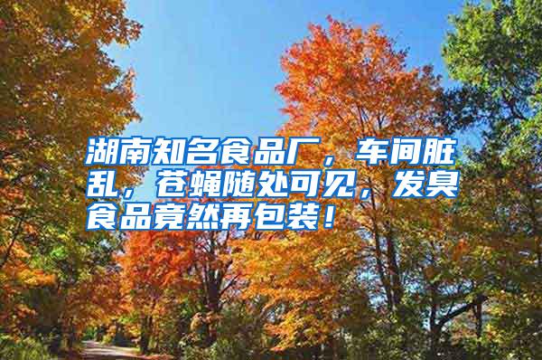 湖南知名食品廠，車間臟亂，蒼蠅隨處可見，發臭食品竟然再包裝！