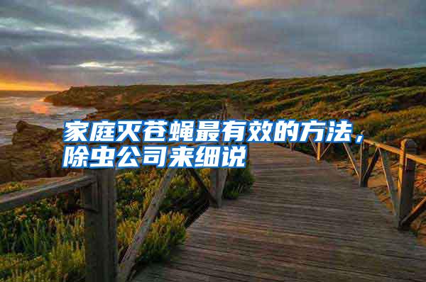 家庭滅蒼蠅最有效的方法，除蟲公司來細(xì)說