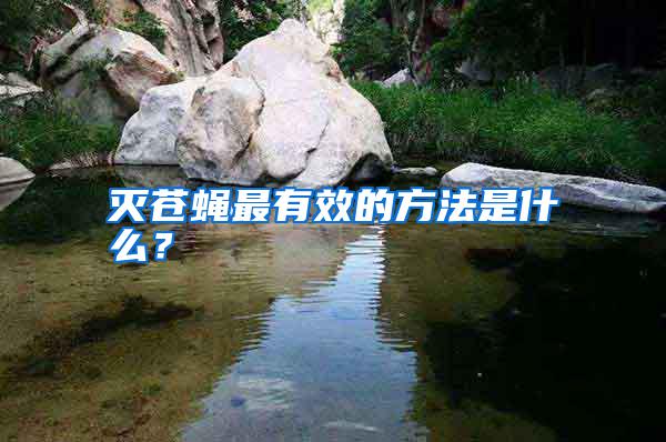 滅蒼蠅最有效的方法是什么？