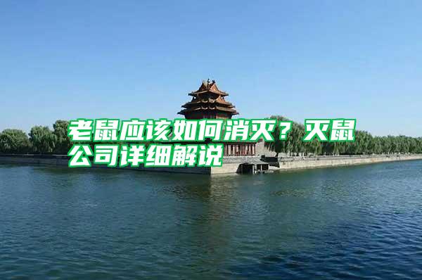 老鼠應(yīng)該如何消滅？滅鼠公司詳細解說