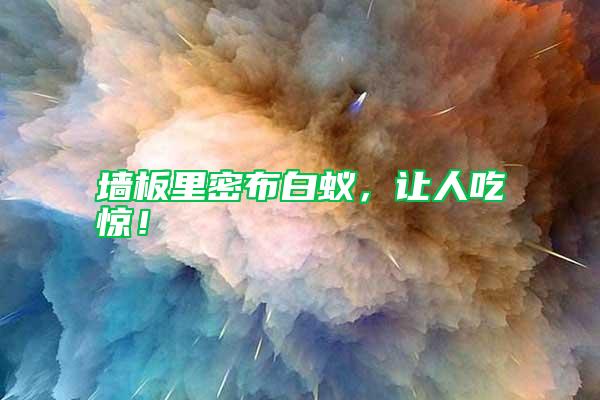 墻板里密布白蟻，讓人吃驚！