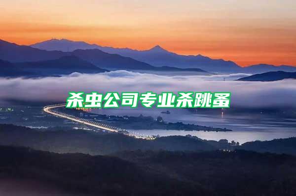 殺蟲(chóng)公司專業(yè)殺跳蚤