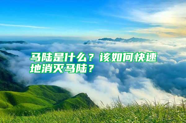 馬陸是什么？該如何快速地消滅馬陸？