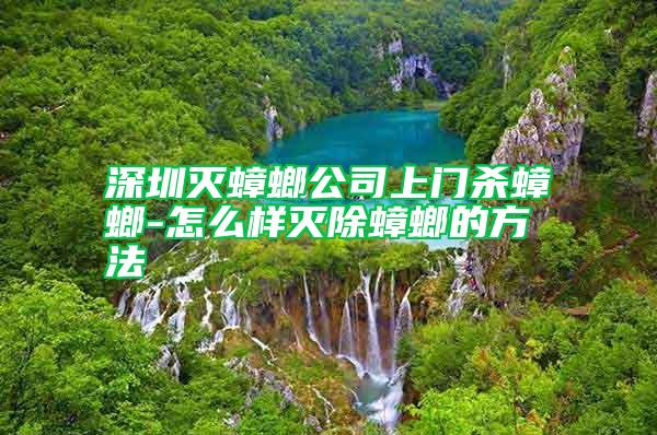深圳滅蟑螂公司上門(mén)殺蟑螂-怎么樣滅除蟑螂的方法