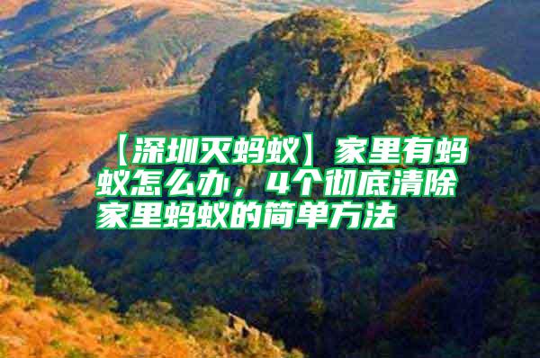 【深圳滅螞蟻】家里有螞蟻怎么辦，4個徹底清除家里螞蟻的簡單方法