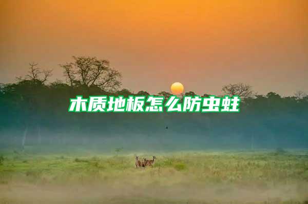 木質(zhì)地板怎么防蟲(chóng)蛀