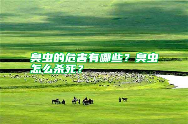 臭蟲的危害有哪些？臭蟲怎么殺死？