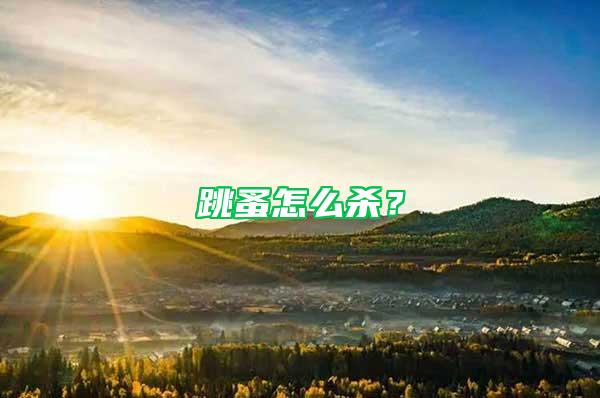 跳蚤怎么殺？