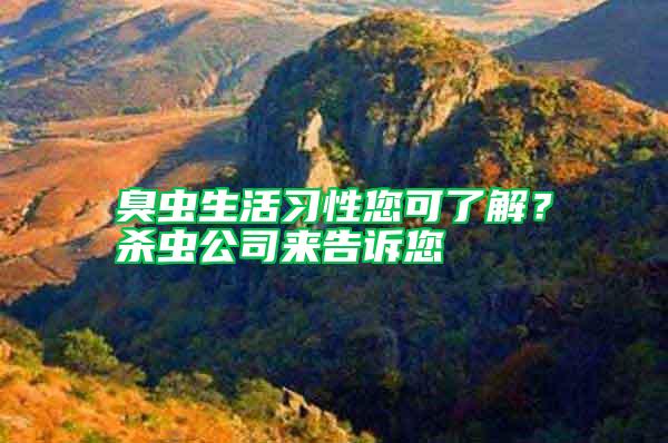 臭蟲生活習性您可了解？殺蟲公司來告訴您