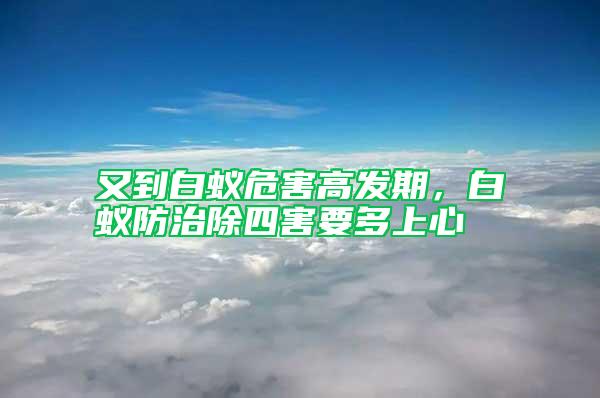 又到白蟻危害高發期，白蟻防治除四害要多上心