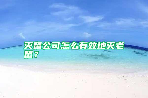 滅鼠公司怎么有效地滅老鼠？