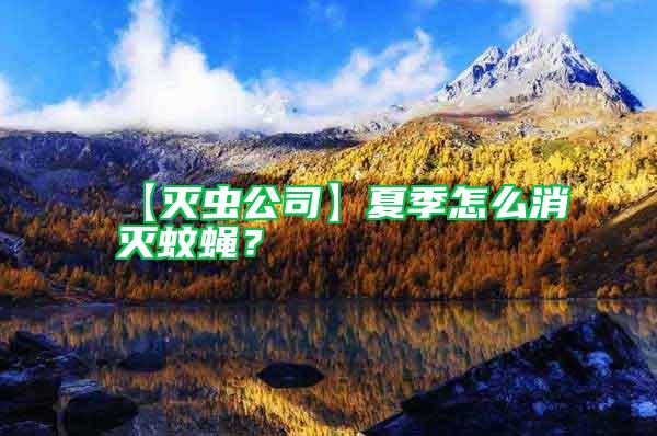 【滅蟲公司】夏季怎么消滅蚊蠅？