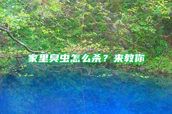 家里臭蟲怎么殺？來教你