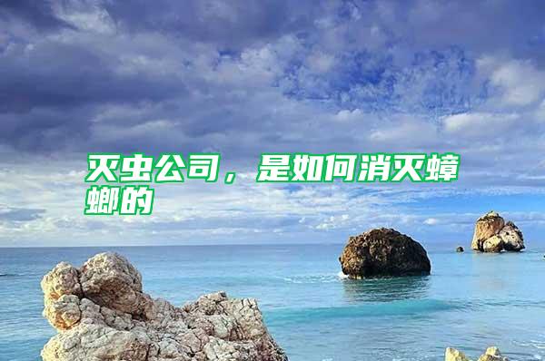 滅蟲公司，是如何消滅蟑螂的