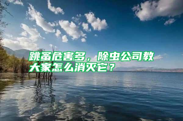 跳蚤危害多，除蟲公司教大家怎么消滅它？