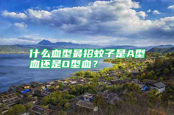 什么血型最招蚊子是A型血還是O型血？
