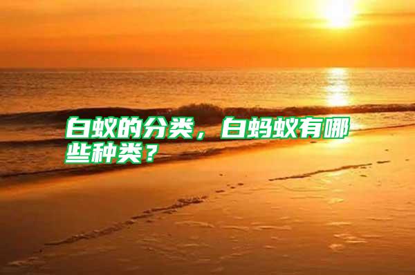 白蟻的分類，白螞蟻有哪些種類？