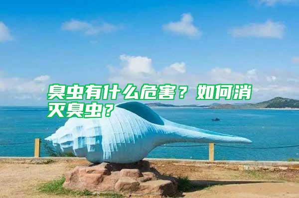 臭蟲有什么危害？如何消滅臭蟲？