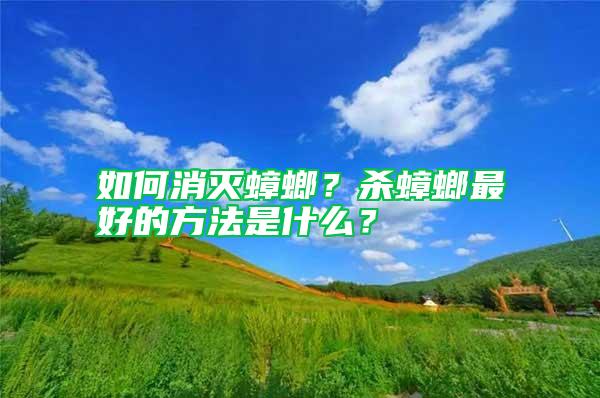 如何消滅蟑螂？殺蟑螂最好的方法是什么？