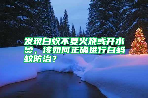發(fā)現(xiàn)白蟻不要火燒或開水燙，該如何正確進行白螞蟻防治？