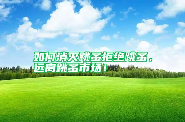 如何消滅跳蚤拒絕跳蚤，遠(yuǎn)離跳蚤市場！