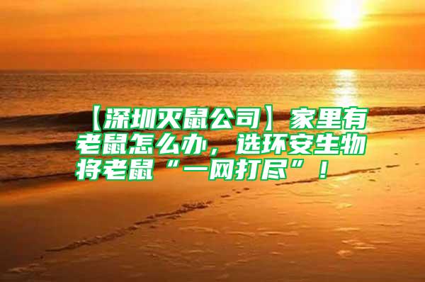 【深圳滅鼠公司】家里有老鼠怎么辦，選環安生物將老鼠“一網打盡”！