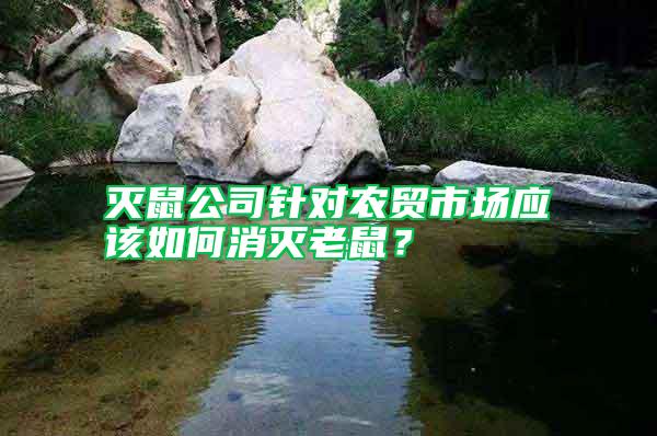 滅鼠公司針對農貿市場應該如何消滅老鼠？