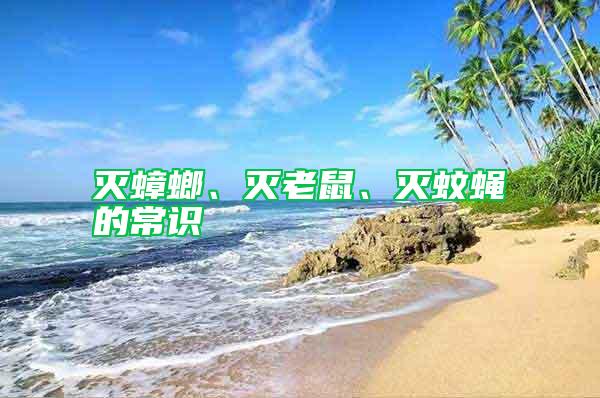 滅蟑螂、滅老鼠、滅蚊蠅的常識