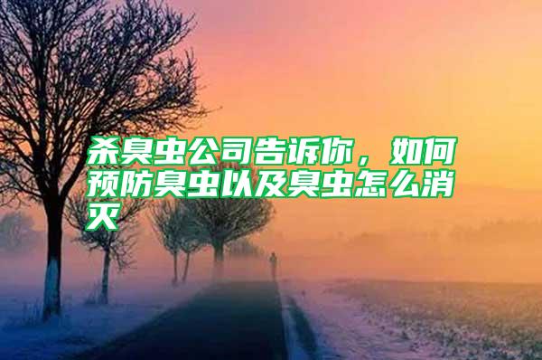 殺臭蟲(chóng)公司告訴你，如何預(yù)防臭蟲(chóng)以及臭蟲(chóng)怎么消滅