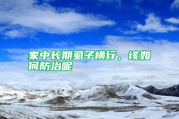 家中長期虱子橫行，該如何防治呢