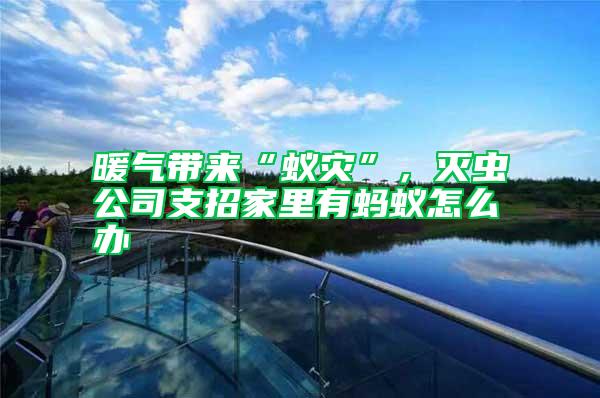 暖氣帶來“蟻災(zāi)”，滅蟲公司支招家里有螞蟻怎么辦