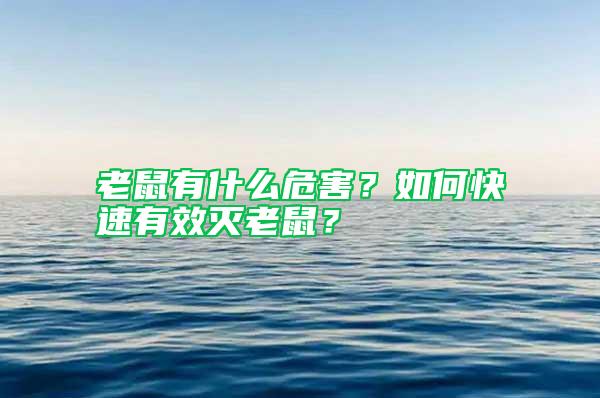 老鼠有什么危害？如何快速有效滅老鼠？