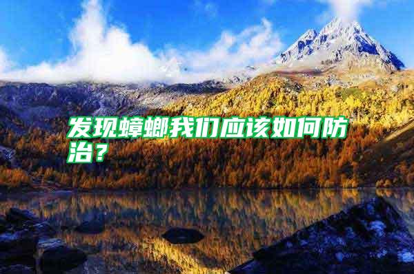 發(fā)現(xiàn)蟑螂我們應該如何防治？