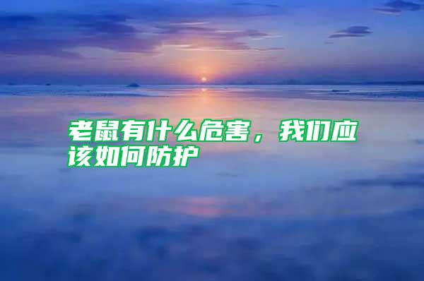 老鼠有什么危害，我們應該如何防護