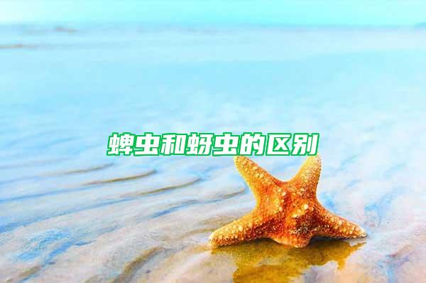 蜱蟲和蚜蟲的區(qū)別