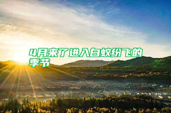 4月來了進入白蟻紛飛的季節