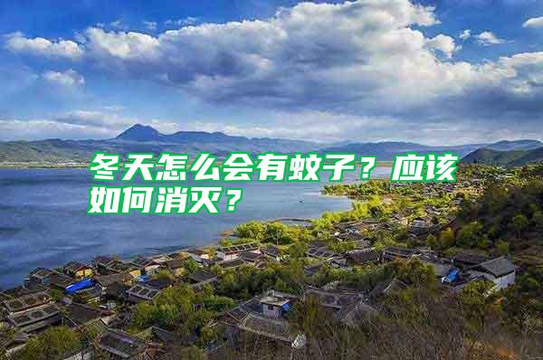 冬天怎么會有蚊子？應(yīng)該如何消滅？