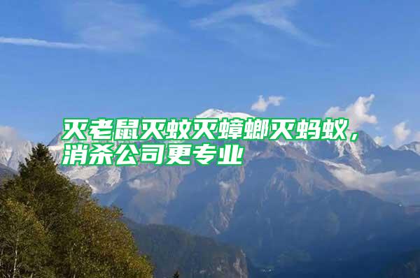 滅老鼠滅蚊滅蟑螂滅螞蟻，消殺公司更專業