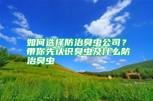 如何選擇防治臭蟲公司？帶你先認識臭蟲及什么防治臭蟲