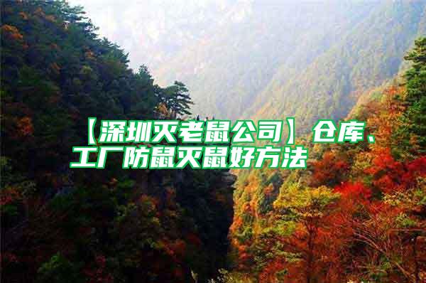 【深圳滅老鼠公司】倉(cāng)庫(kù)、工廠防鼠滅鼠好方法