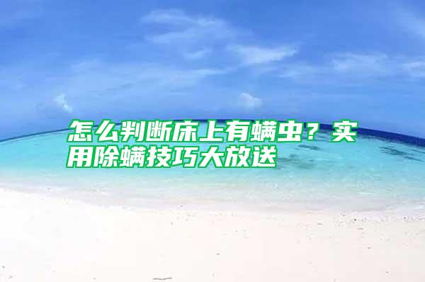 怎么判斷床上有螨蟲？實用除螨技巧大放送