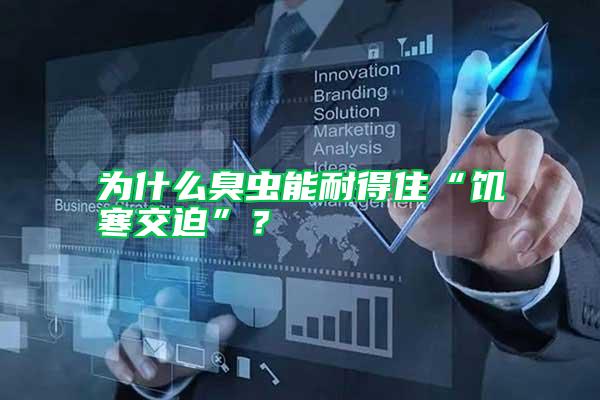為什么臭蟲(chóng)能耐得住“饑寒交迫”？