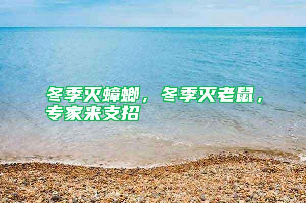 冬季滅蟑螂，冬季滅老鼠，專家來支招
