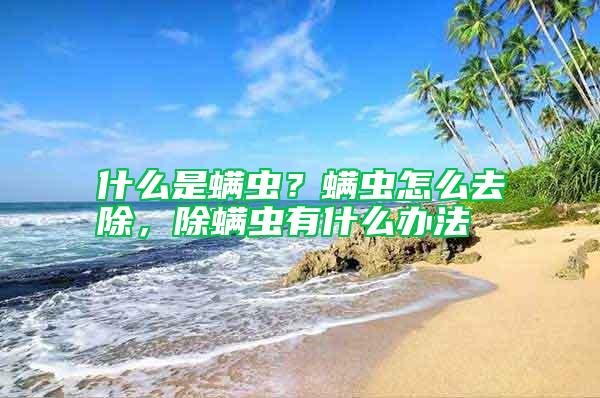 什么是螨蟲？螨蟲怎么去除，除螨蟲有什么辦法