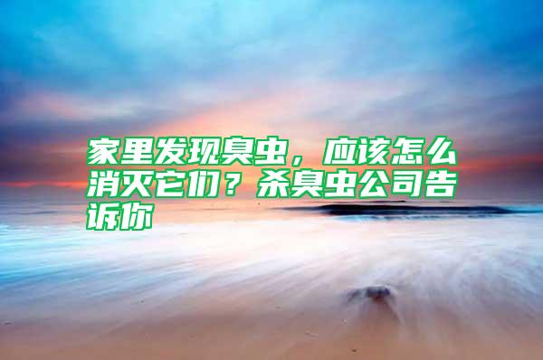 家里發(fā)現(xiàn)臭蟲(chóng)，應(yīng)該怎么消滅它們？殺臭蟲(chóng)公司告訴你